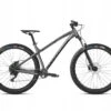 Dartmoor Trailbike Primal Intro 29'' Mat Grafiet/Zwart